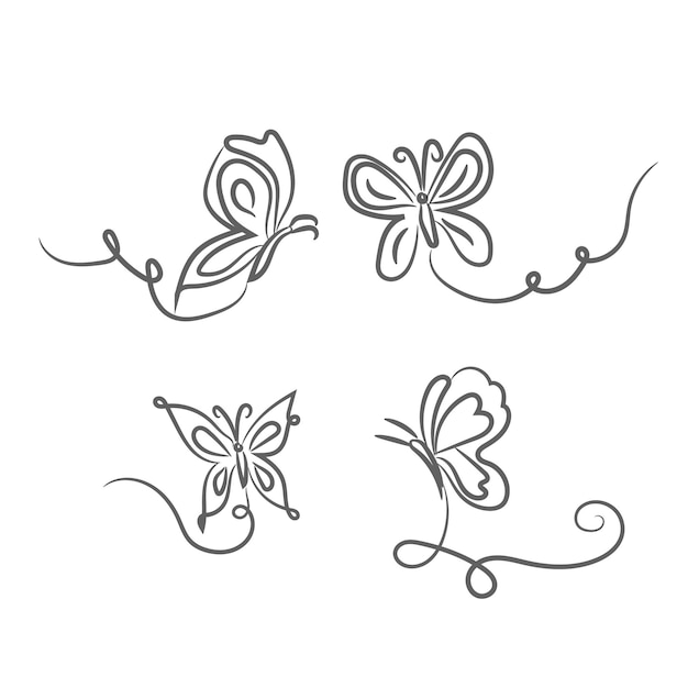 Vector vector beautiful butterfly outline illustration