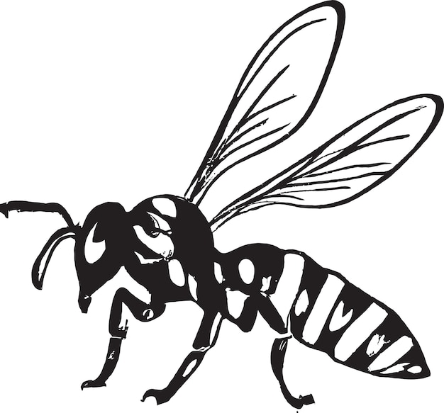 Vector bee logo design per laboratori di apicoltura