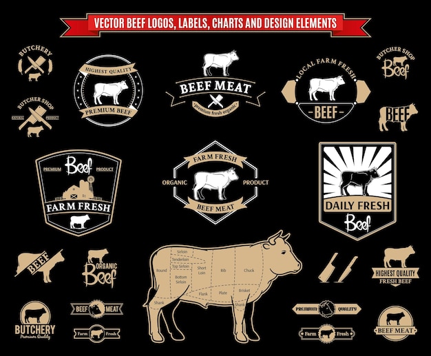 Vettore schede e elementi di progettazione delle etichette del logo vector beef