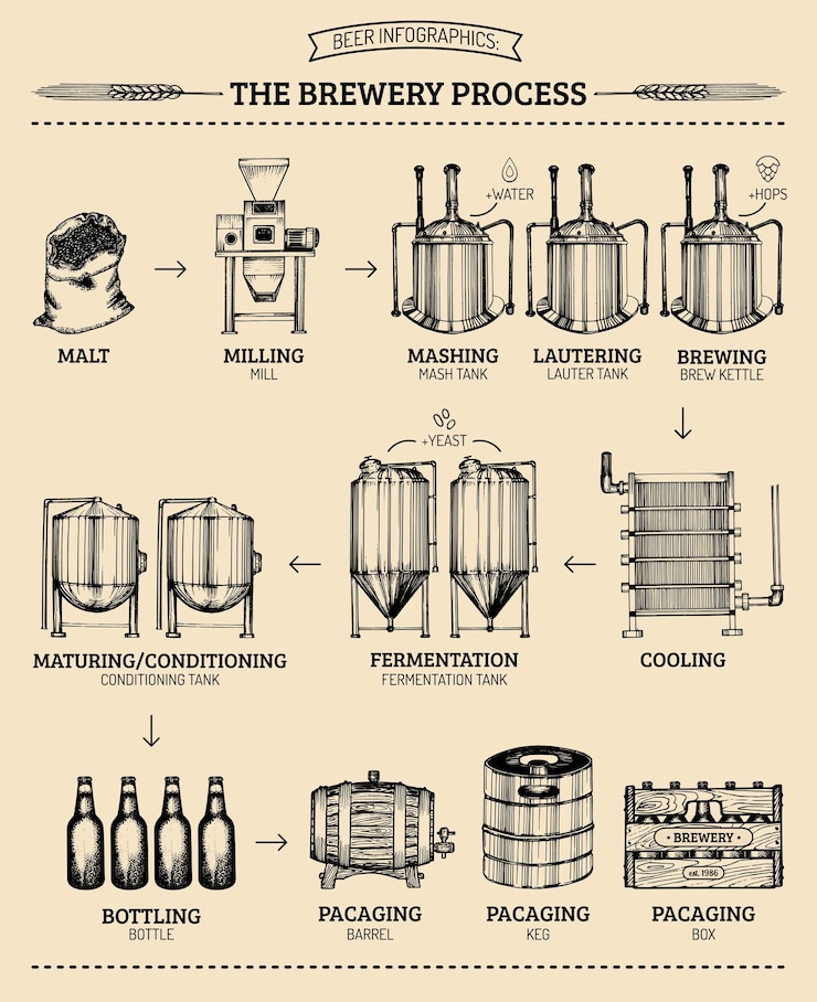 Vector vector beer infographics with illustrations of brewery process ale producing design lager production hand sketched scheme