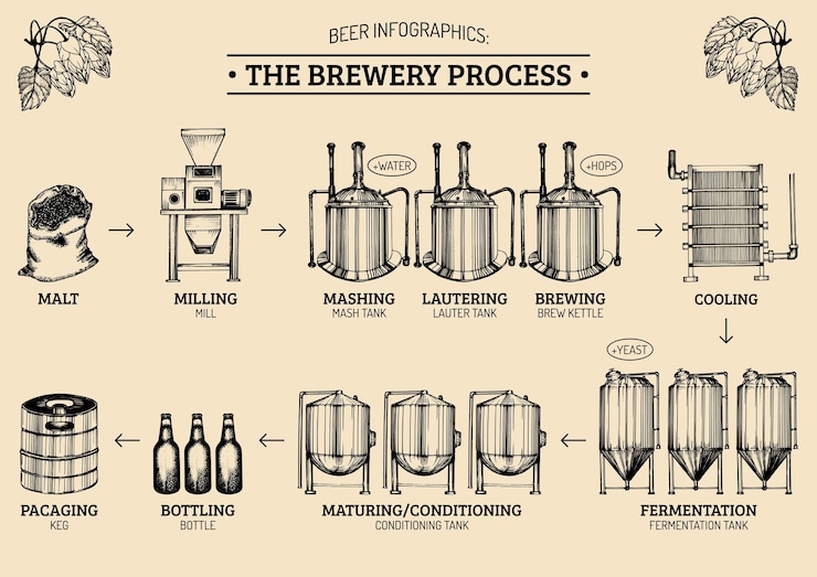 Vector vector beer infographics with illustrations of brewery process ale producing design lager production hand sketched scheme