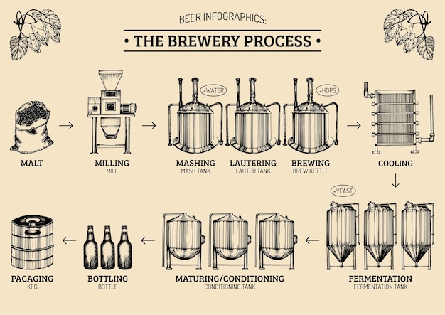 ベクトル 醸造所のプロセスのイラストとベクトルビールのインフォグラフィックエール生産デザインラガー生産手描きスキーム