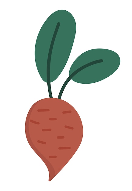 Векторная икона свеклы осенний овощ плоский стиль свекольного корня забавная иллюстрация урожая овощей на белом фоне органическая фермерская еда picturexa