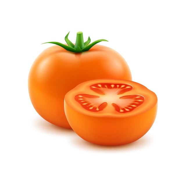 Vector big ripe orange fresh cut tomato on white