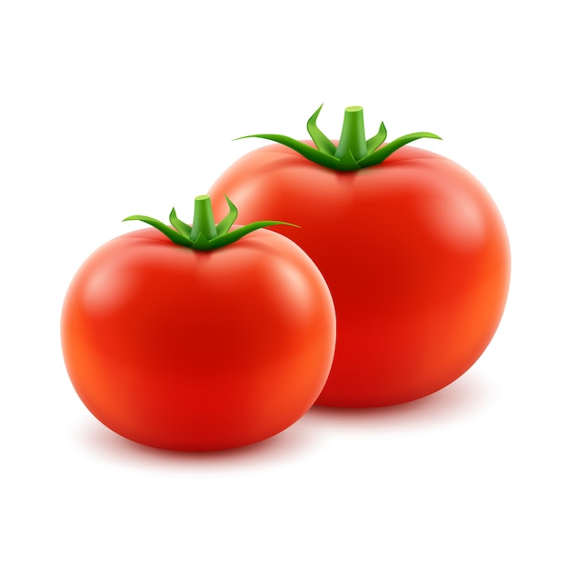 Vector vector big ripe red fresh whole tomatoes on white