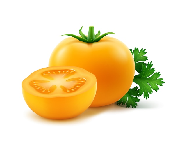 Vector big ripe yellow fresh cut whole tomatoes with parsley on white