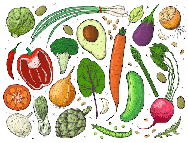 Vector big set of vegetables in a sketch.