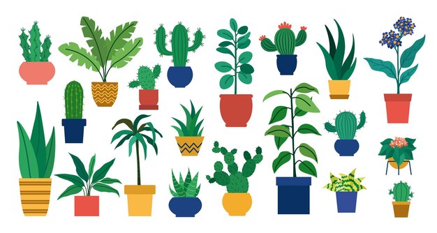 Vector big set with indoor plants