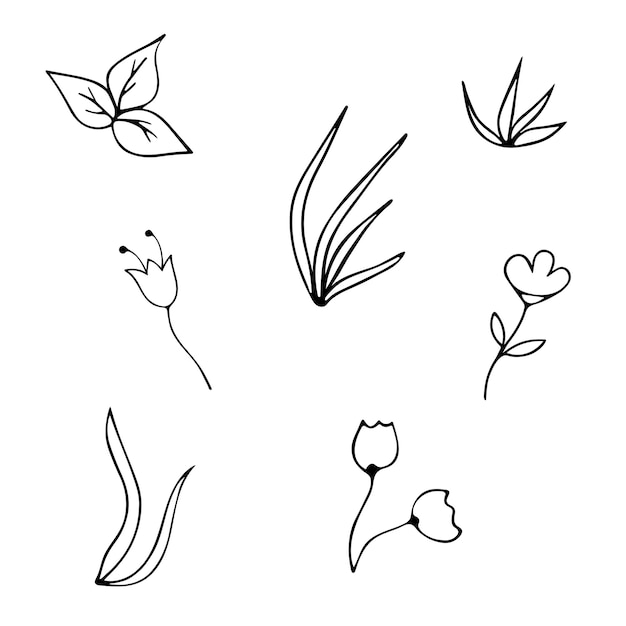 흰색 배경에 꽃 잔디와 잎의 벡터 흑백 그래픽 그림