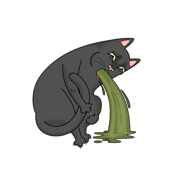 Vector vector black cat puking. nausea, vomit. the cat is sick and feels bad.