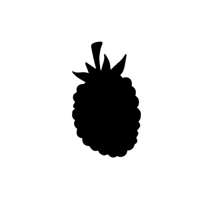 Vector vector black raspberry silhouette