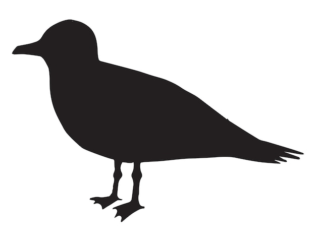 Векторный силуэт черной морской чайки на белом фоне