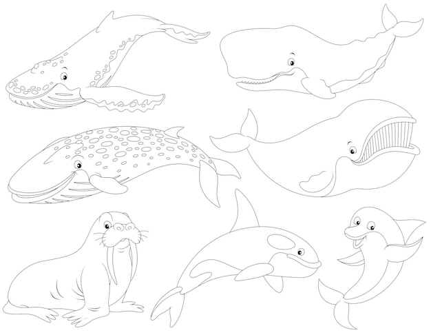 Vector vector black and white cartoon set of whales and a walrus