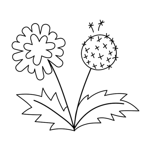 Vector vector black and white dandelion icon first blooming plant outline illustration floral clip art or coloring page cute spring flower isolated on white backgroundxa