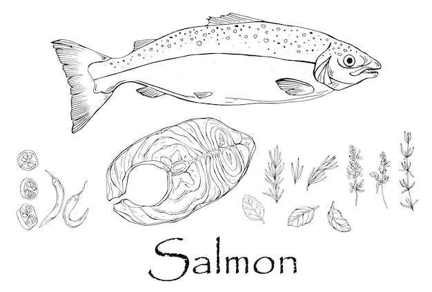 Vector black and white drawing of salmon and steak with spices