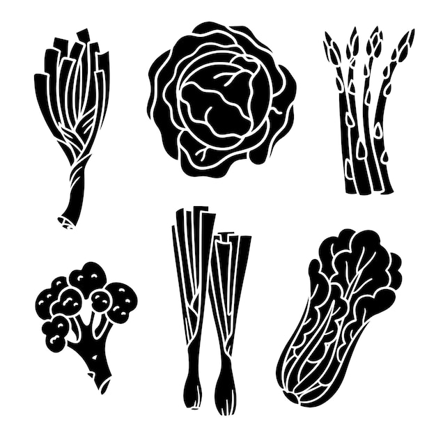 Vector black and white illustration of doodle silhouettes greenery lettuce onion leek cabbage asparagus broccoli