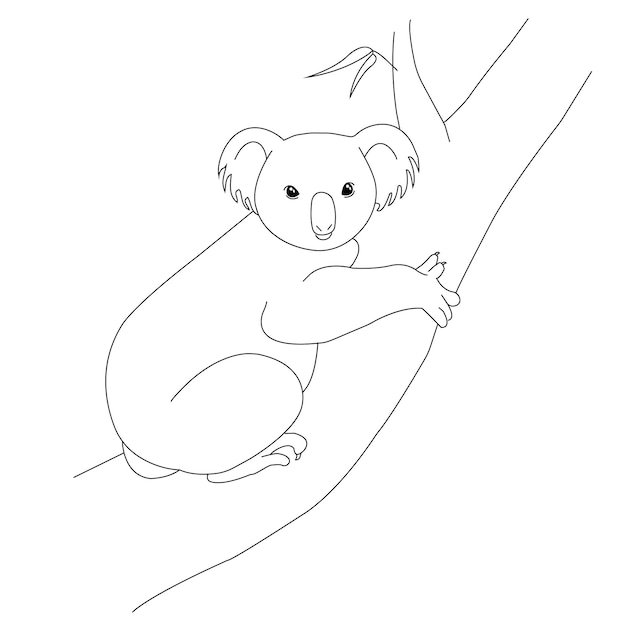Vector black and white picture coloring page for children cute kind animal koala sitting on a tree