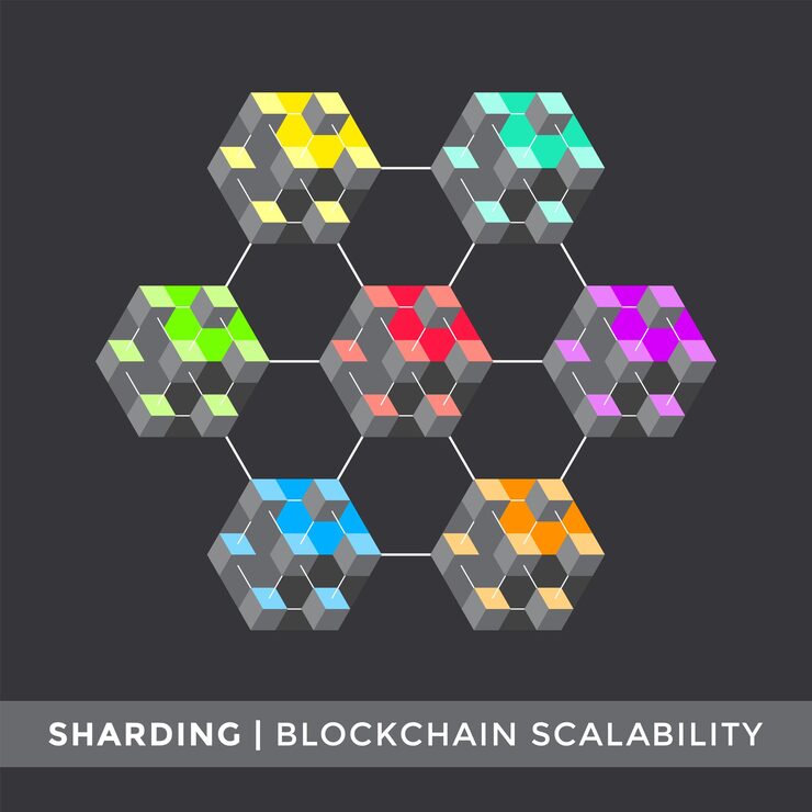 Vector vector blockchain scalability sharding algorithm principal scheme infographic cryptocurrency blockchain network technology digital business concept illustration