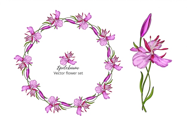 Vector bloem set, met roze delicate bloemen