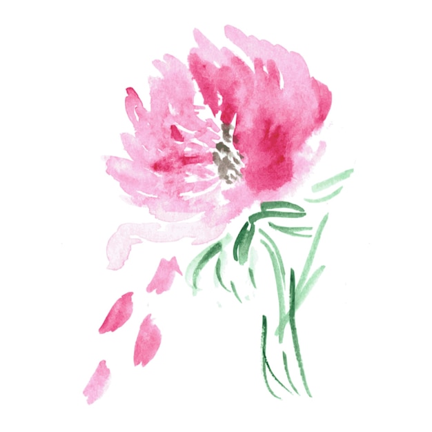 Vector bloemenachtergrond Aquarel bloemenillustratie Roze bloem decoratief element