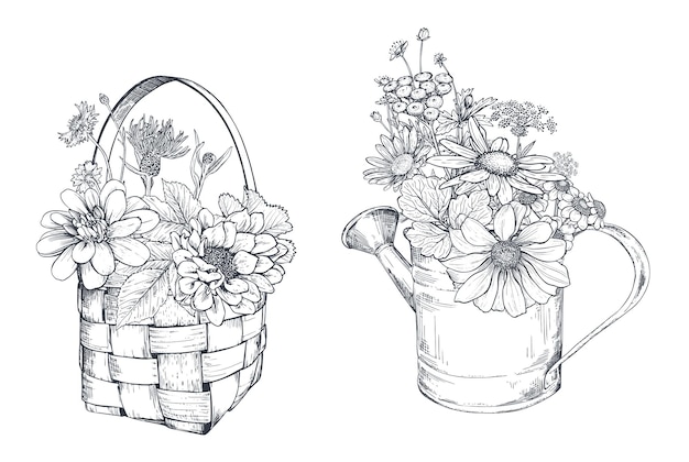 Vector bloemencomposities met zwart-witte handgetekende kruiden en wilde bloemen