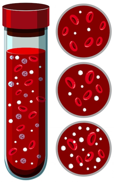 Un vettore di piastrina di sangue