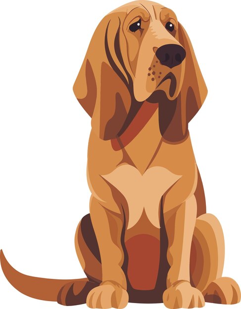 vector bloodhound dog sitting