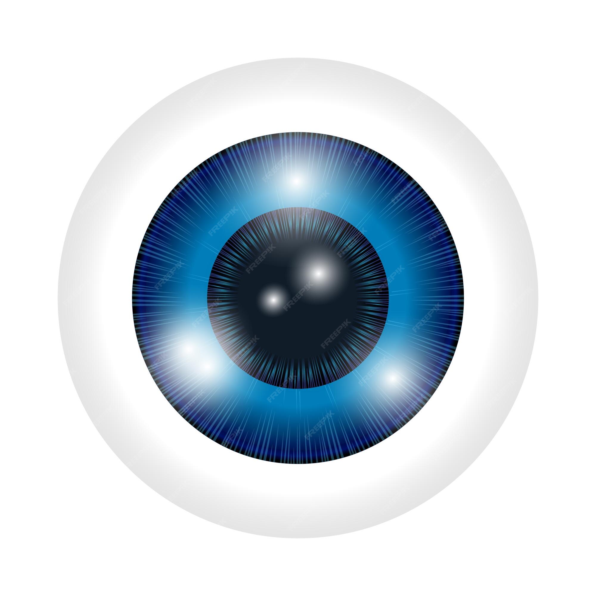 Premium Vector | Vector blue human eye macro over white