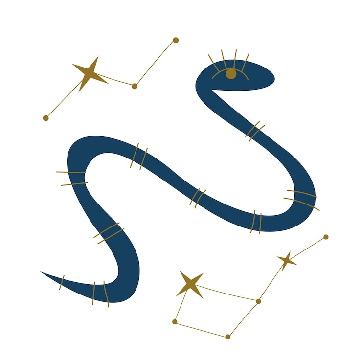 Vector vector blue snake. mystic illustration. tattoo sketch, t-shirt print, sticker design clipart