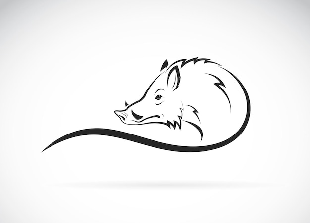 Vector of boar head design on white background wild animals easy editable layered vector illustration