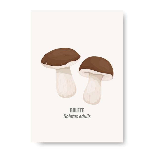 Vector Bolete Mushroom Isolated on White Card with Hand Drawn Cartoon Bolete Porcini Mushrooms Design Template Clipart Boletus Edulis Penny Bun Mushroom Couple
