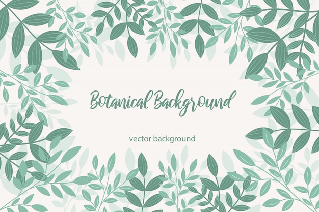 Vector botanical background