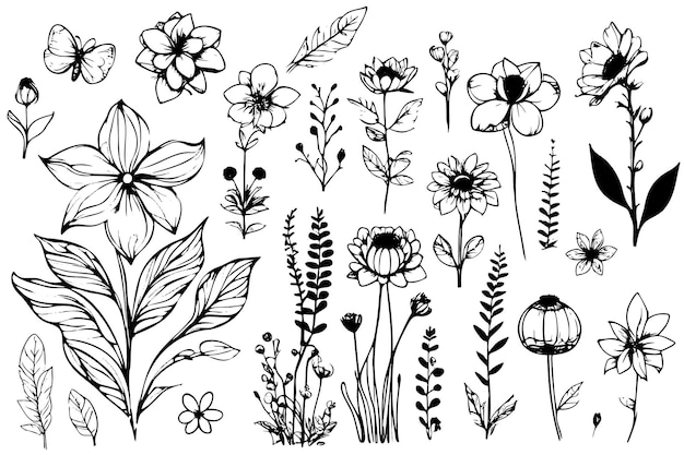 Vector vector botanical collection of floral and herbal elements isolated vector plants branches and