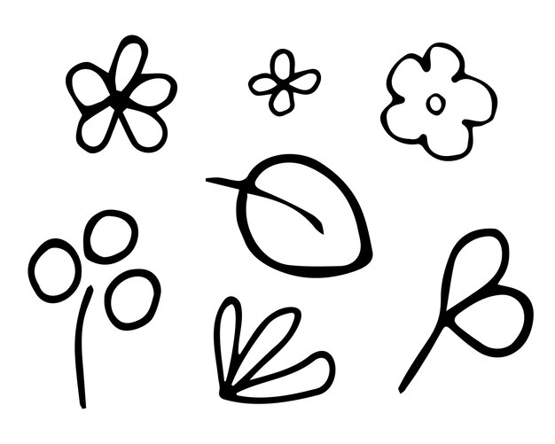 Vector botanical elements