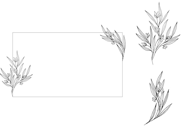 vector botanical frame with flowers and separate elements to create it elegant minimal style floral isolated illustration wedding invitation and cards logo design and posters template