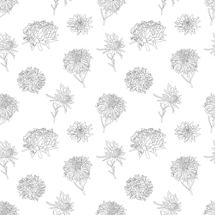 Vector vector botanical hand drawn monochrome line art pattern of asters flowers daisies in graphics