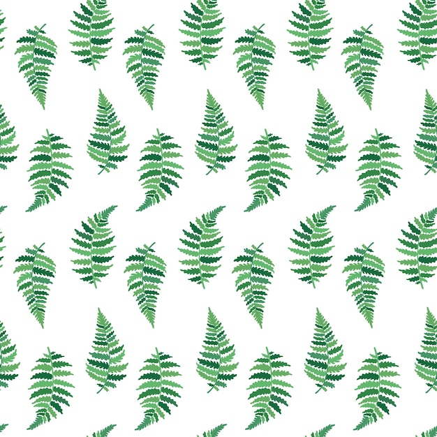 シダの葉のベクトル植物図熱帯植物の孤立した外形図