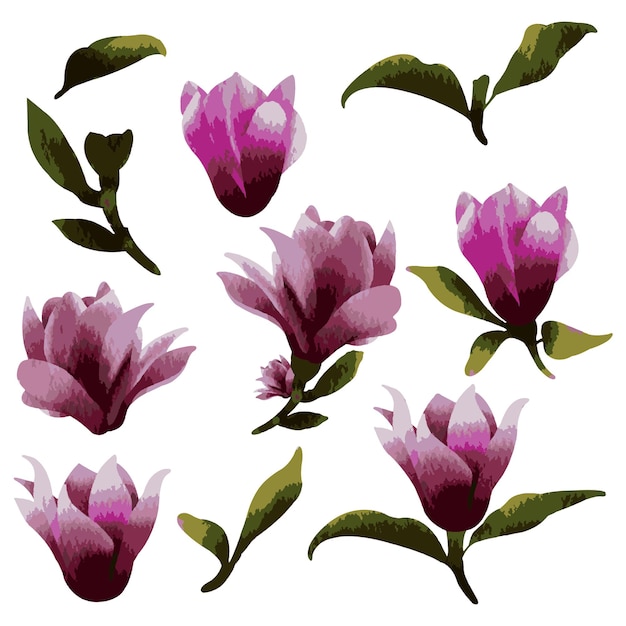 Vector Botanical set of wild flowers 세트는 별도의 부품으로 구성되어 물색의 아름다운 꽃 부케를 함께 가져옵니다.