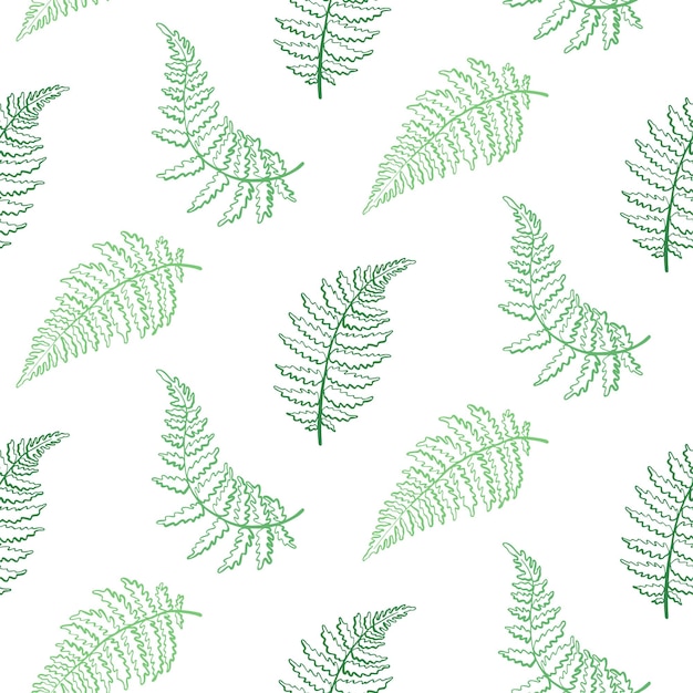 Vector botanische illustratie van varenblad Geïsoleerde overzichtstekening van tropische plant
