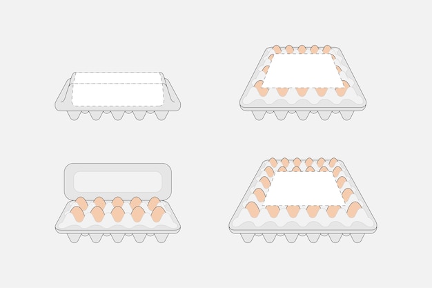 Vector vector boxes with chicken eggs carton or plastic container