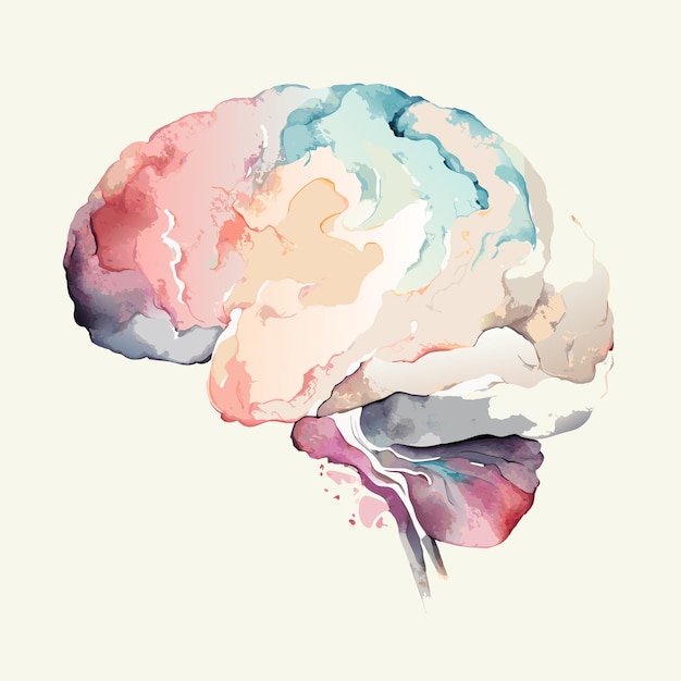 Vector vector brain illustration with watercolor style