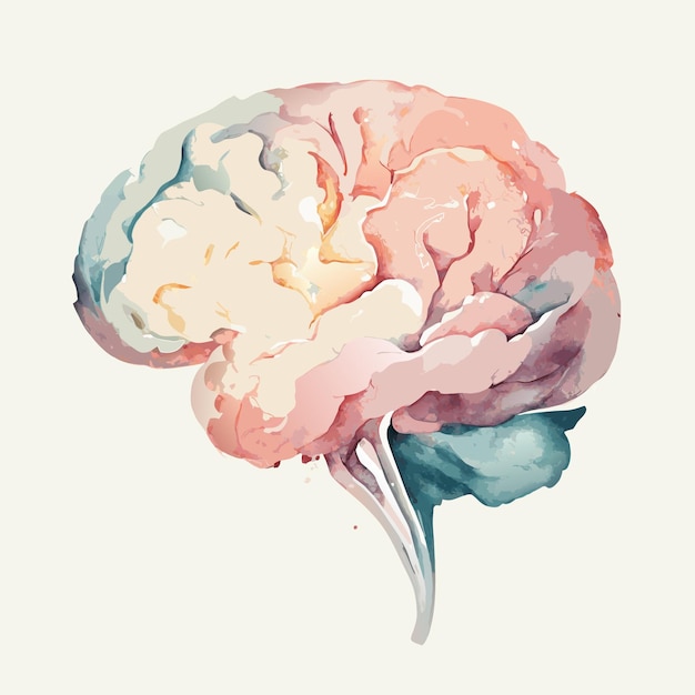 Vector vector brain illustration with watercolor style