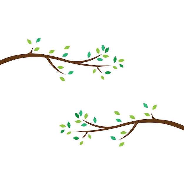 Vector vector branch hand drawn illustration of tree branch design template