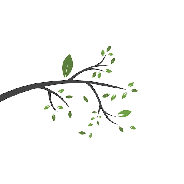 Vector branch Hand drawn illustration of tree branch design template