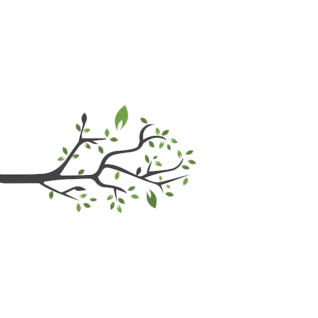 Vector branch Hand drawn illustration of tree branch design template