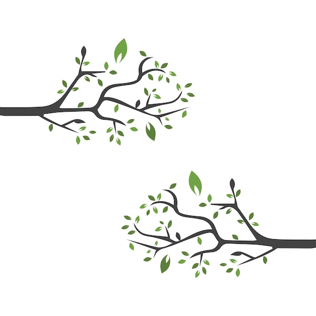 Vector branch Hand drawn illustration of tree branch design template