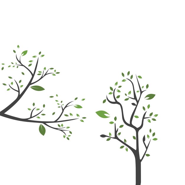 Vector branch Hand drawn illustration of tree branch design template