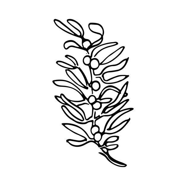 Vector branch and leave Hand drawn floral elements Black outline plant on white background Vintage botanical doodle illustrations