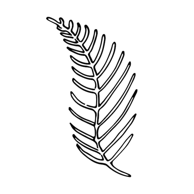 Векторная ветвь и листья Ручной рисунок цветочных элементов Черный контур растения на белом фоне Винтажные ботанические каракули иллюстрации
