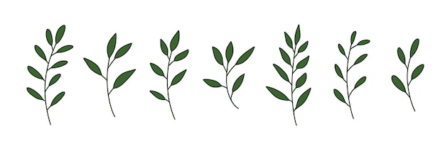 벡터 가지와 잎 손으로 그린 꽃 요소 빈티지 식물 삽화